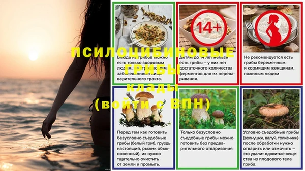молекула духа Гусиноозёрск