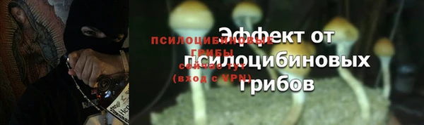 молекула духа Гусиноозёрск