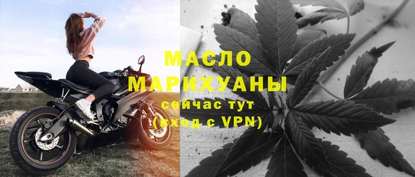 дурь Гусев
