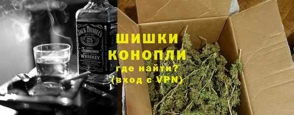молекула духа Гусиноозёрск
